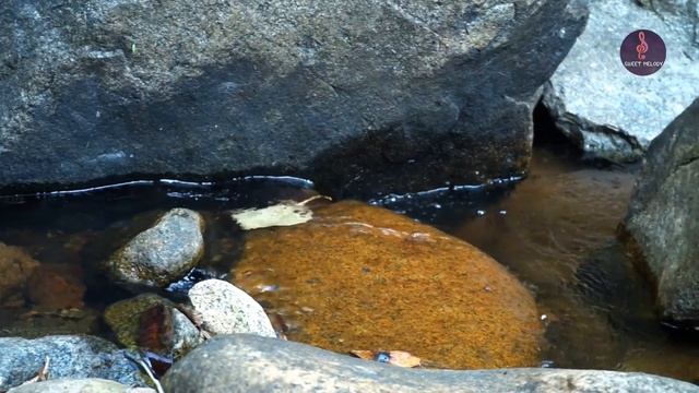 This is incredibly amazing playlist - The Best Relaxing Romantic Guitar Love Songs - Acoustic Songs смотреть онлайн