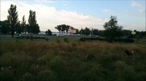 Ведь столько на свете хороших друзей))