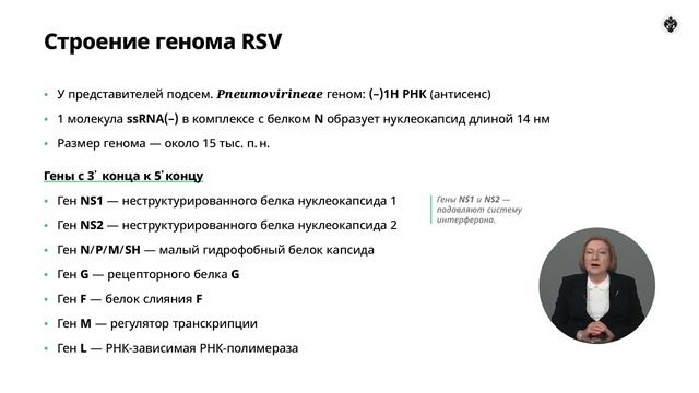 2.6 Вирусы семейства Paramyxovirineae. Пневмовирусы