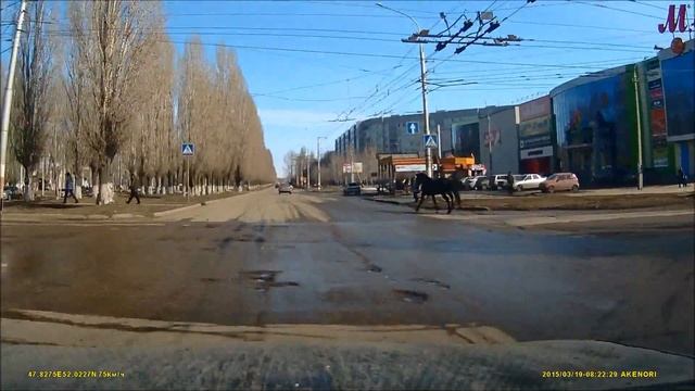 лошадь в Балаково 19.03.2015 смотреть онлайн