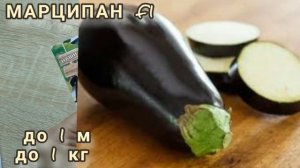 Баклажаны - ТРУДЯГИ  на 2022 год!!! ЛУЧШИЕ ПРОВЕРЕННЫЕ СОРТА БАКЛАЖАНОВ. !