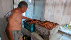 Качаем мёд. Самодельная медогонка с приводом от шуруповерта.