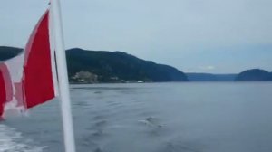 Охота на китов