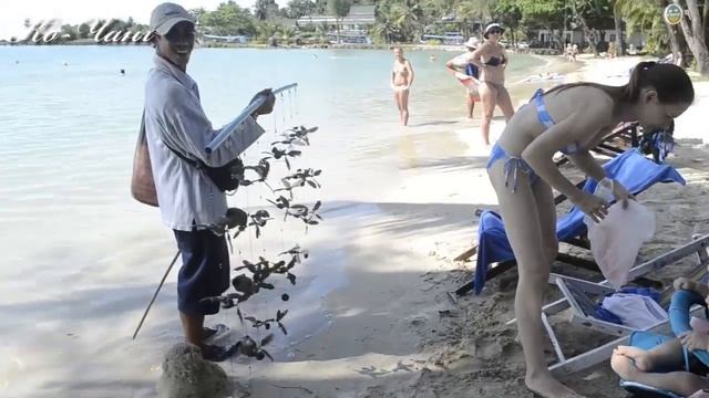 Тайланд - 2012 смотреть онлайн