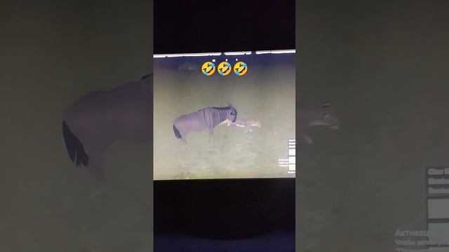 Дикая саванна в роблокс?.. #леопард #чо смотреть онлайн