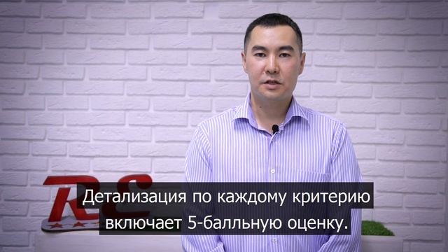 что такое Детализация рейтингов