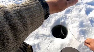 С ЭТОЙ СНАСТЬЮ - ВСЕГДА С РЫБОЙ..! Рыбалка на КОСЫНКИ-Раскладушки!