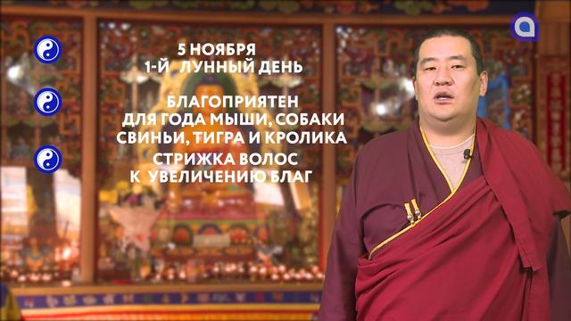 Зурхай на 05.11.2021 смотреть онлайн