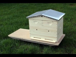 Основной улей на моей пасеке.