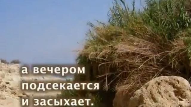 Молитва Моисея