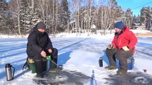 ЛОВЛЯ ОКУНЯ НА БАЛДУ 2021!!!