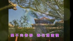 紅 豆 詞〈紅樓夢〉 《古詞今曲 歌集》MV      粤語    李天華      滴不盡相思血淚拋紅豆     開不完春柳春花滿畫樓