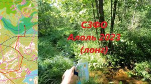 Спортивное ориентирование (headcam orienteering) - ЧиП СЗФО, Фестиваль Алоль 2023, лонг - 08.07.2023