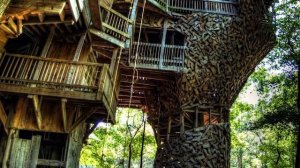 Необычные дома из дерева - Интересные факты