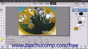 Photoshop Elements 15 Tutorial Moving Layer Content with the Move Tool Adobe Training