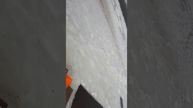 крещенское купание в купели