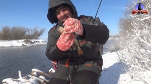 Ловля ОКУНЯ на микроджиг ЗИМОЙ!!! #окунь #спиннинг #зимой