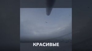 Охота на гуся осень. Оренбург, Светлый