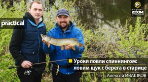 Уроки ловли спиннингом: ловим щук с берега в старице. Алексей Ивашков. Anglers Practical