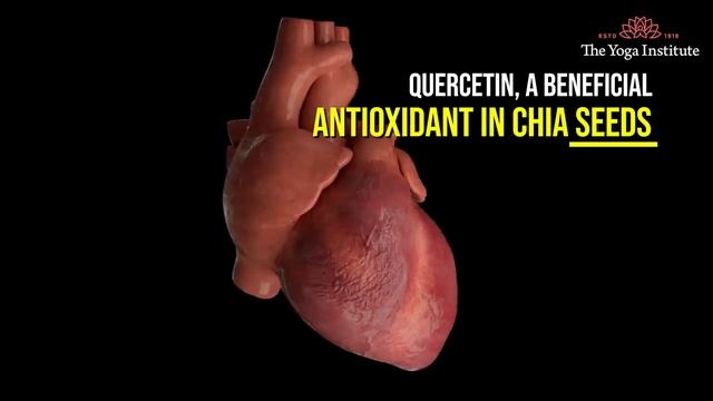 Eat Chia Seeds for 1 Week & See What Will Happen to YOU | Health Benefits of Chia Seeds Every Day смотреть онлайн