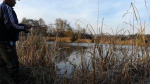 Crazy Fish Ebisu Gold SG 1.83m 0.6-3g SUL