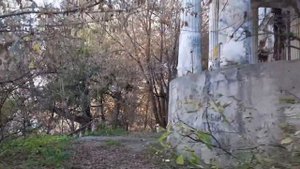 Усадьба Севрюгова в городе Кинешма