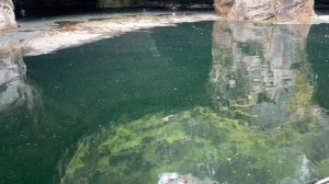 Рускеала 2024