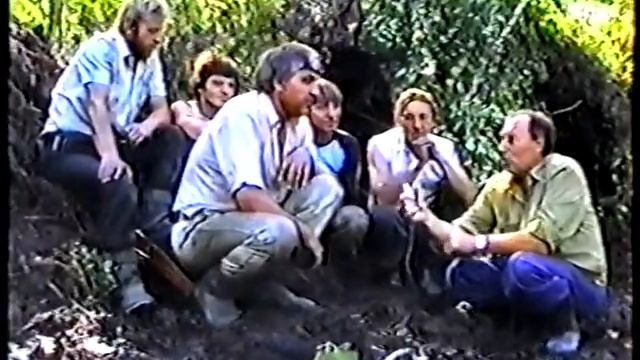 старатели г.зея