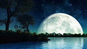 Lx24 (Ночь-Луна)