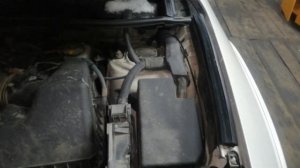 Рав4 ха30. Газовые опоры капота. (кто установил?), видио для опроса. Часть 1