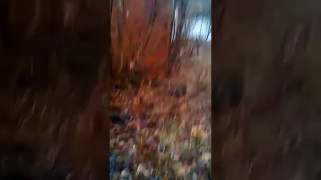 Заброшенные места Ижевска смотреть онлайн