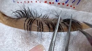 Самое важное о Лучах. Процесс наращивания лучиков