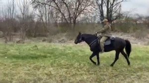 Кошехабль. Хазрет Туов верхом на своем кабардинском жеребце.