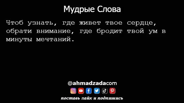 Мудрые Слова 15