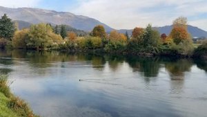 ОСЕНЬ. АЛЛА ПУГАЧЕВА. СТЕКЛЯННАЯ АРФА.