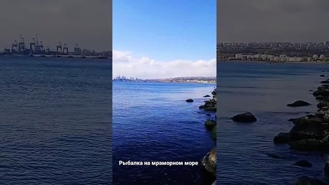 Рыбалка на Мраморном море. Ребята поймали рыбу /İstanbul. Marmara Denizi'nde Balık Tutma  #shorts