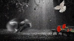 Полгода на небесах.... В память о любимом муже и об отце.