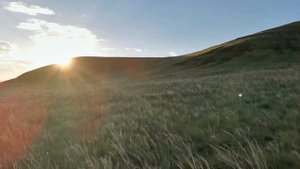Пруд у села Адамовка Переволоцкий район оренбургской обл.