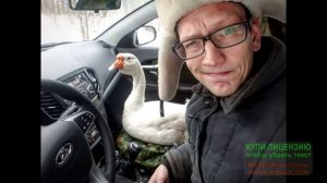 Топ три авто блогеров России