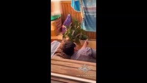 Ирина Волк: В Нижнем Новгороде оперативники задержали подозреваемых в кражах из автомобилей