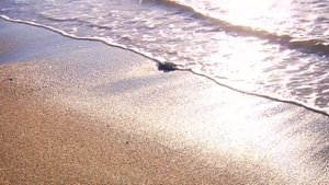 ХАННА - Море