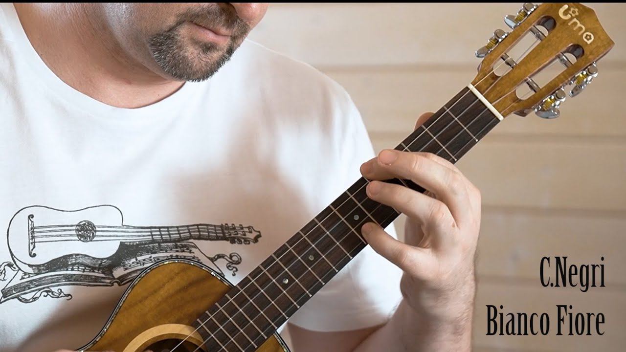 Bianco Fiore (C.Negri) - ukulele