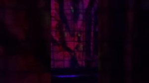 Комната страха. Сочи