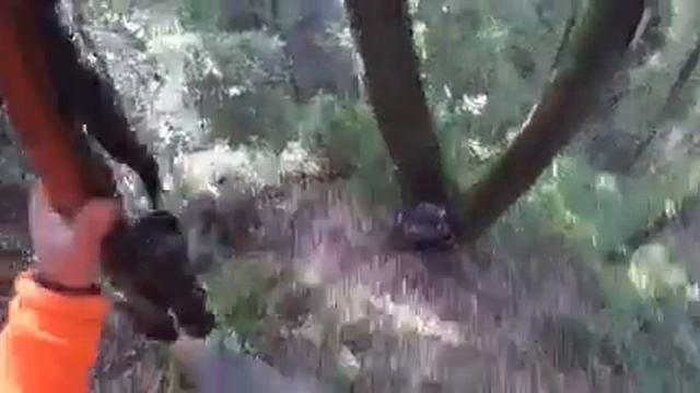 Нападение кабана на человека смотреть онлайн