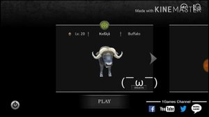 Wild animals online Коды на животных (ч2)