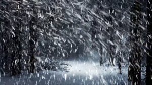 СЧАСТЛИВАЯ СИРОТКА