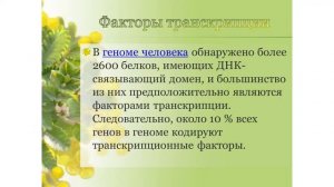 "Юбилей овечки Долли - 20 лет спустя." - Юрий Новиков на "Научной Среде" 15 марта 2017