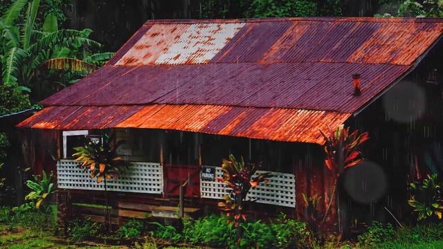 3 часа успокаивающего шума дождя и грома. Видео для сна и релаксации. смотреть онлайн