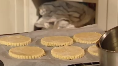 Клубничные тортики (воздушные пирожные со свежей клубникой и взбитыми сливками)
