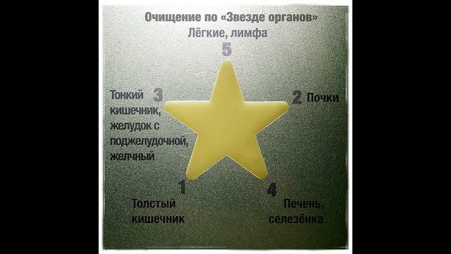 101. Очищение организма *звезда органов*  луч1 толстый кишечник.